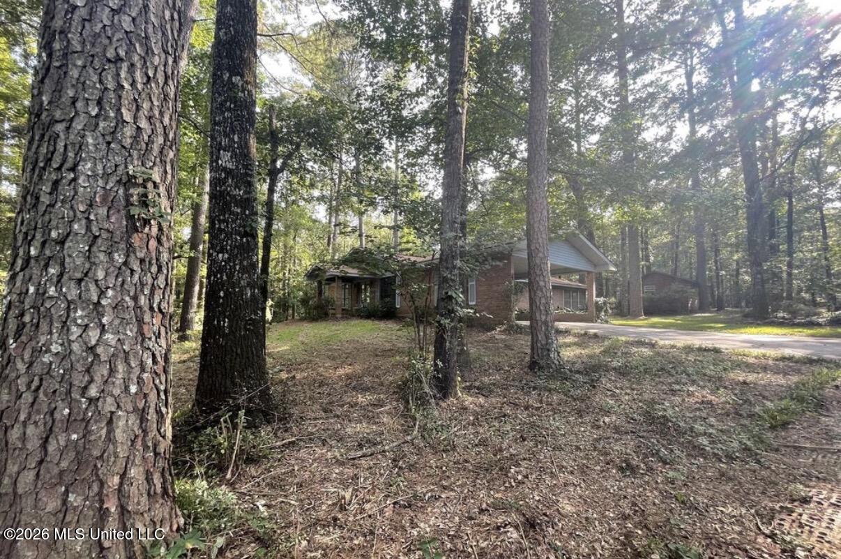 1073 Ratliff Ferry Road Canton, MS 39046 - Photo 1 of 1 IMG_3260