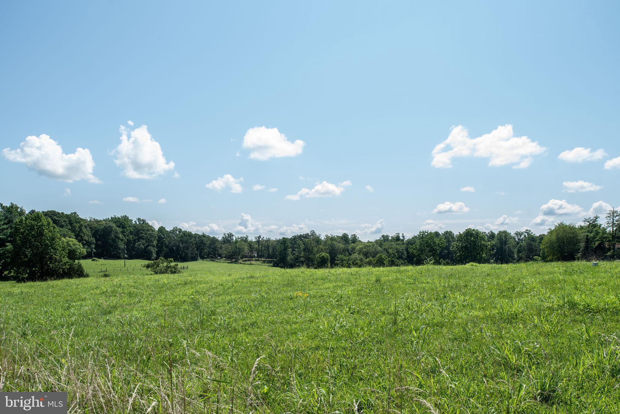17357 Hudson Mill Road Culpeper, VA 22701 - Photo 38 of 39 Horses Welcome!