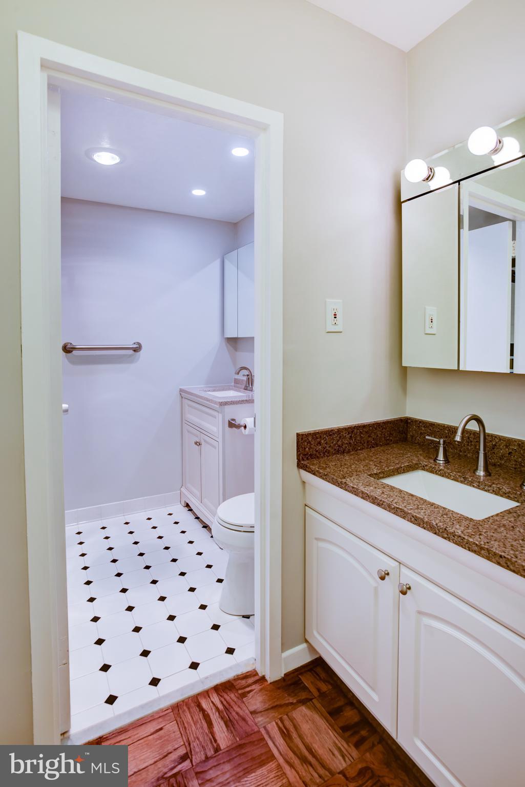 4100 Cathedral Avenue Northwest, Unit 512 Washington, DC 20016 - Photo 39 of 71 a bathroom with a sink a vanity and a mirror