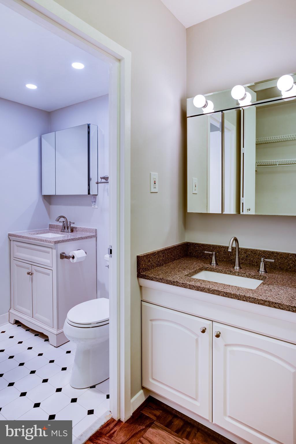 4100 Cathedral Avenue Northwest, Unit 512 Washington, DC 20016 - Photo 43 of 71 a bathroom with a sink a vanity and a mirror