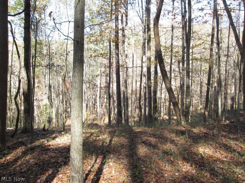 2518 Peniel Road Gay, WV 25244 - Photo 7 of 20