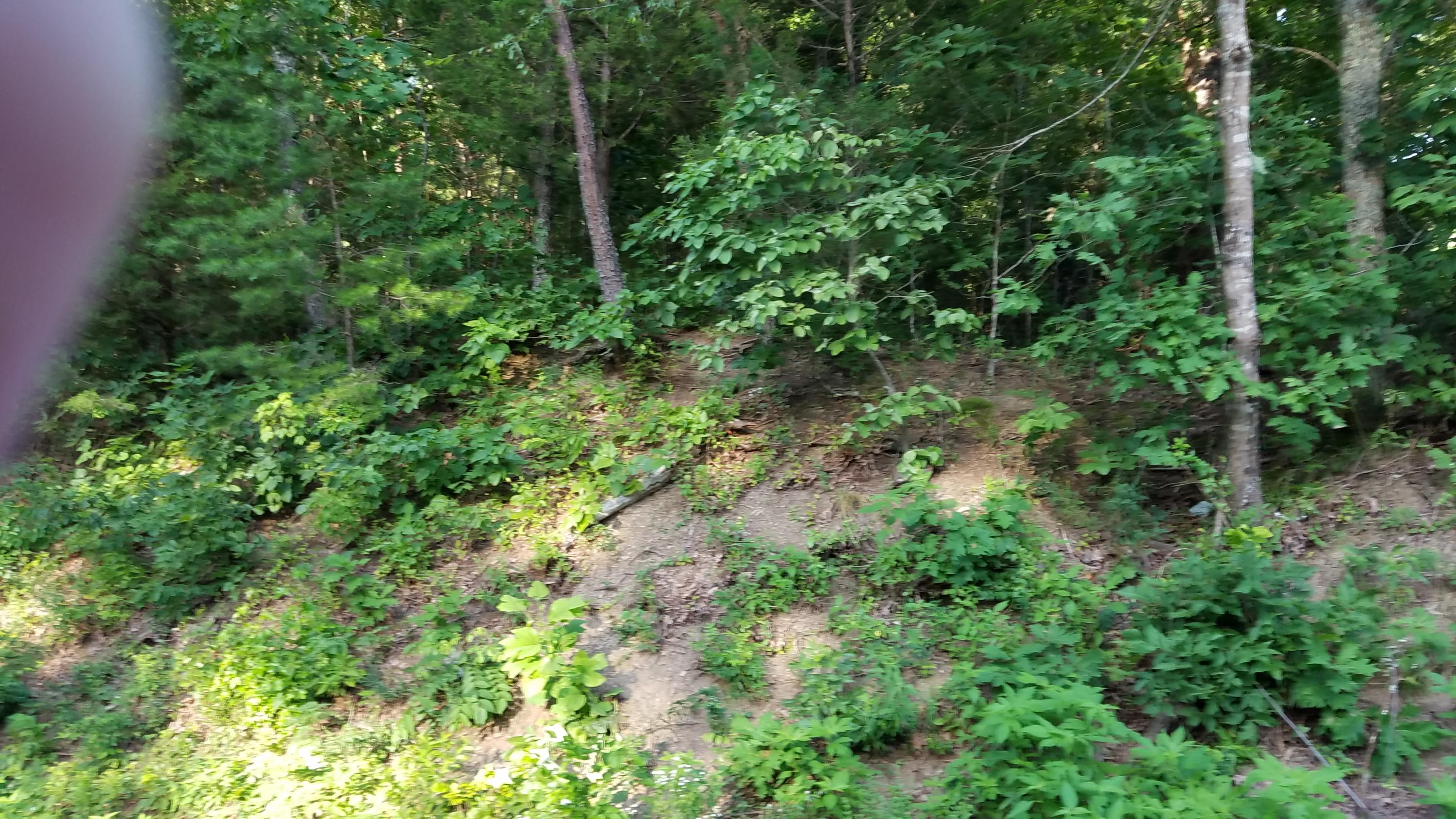 Lot 8 Northwest Old Freewill Road Cleveland, TN 37312 - Photo 5 of 10 20190626_191139