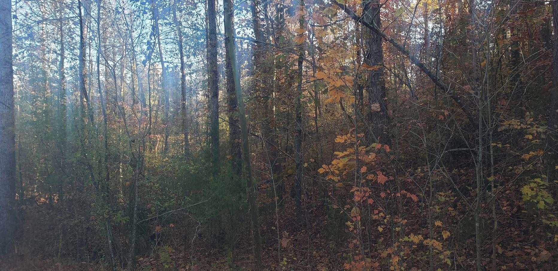 Lot 8 Northwest Old Freewill Road Cleveland, TN 37312 - Photo 8 of 10 Screen Shot 2019-11-11 at 4.24.15 PM