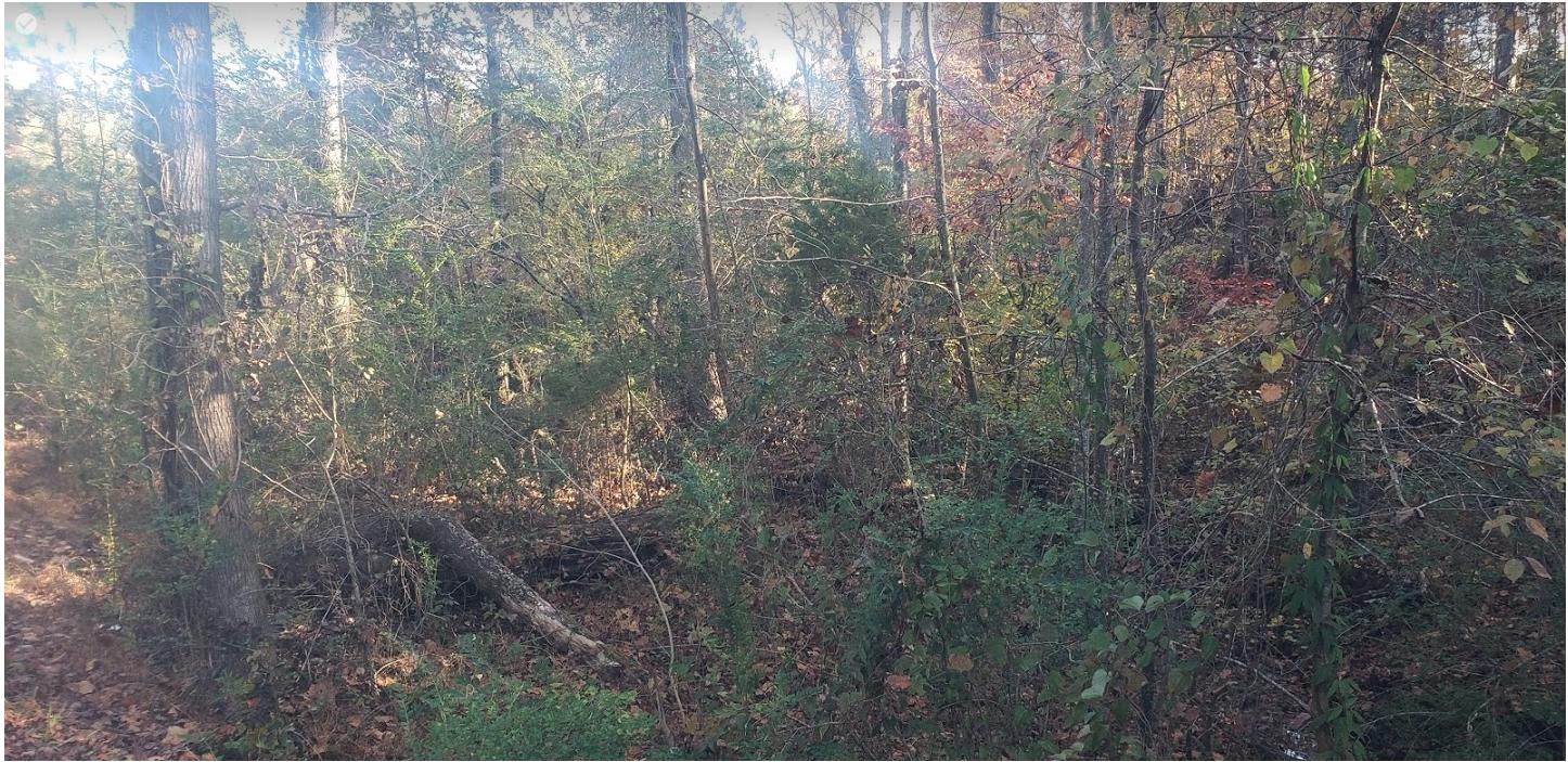 Lot 8 Northwest Old Freewill Road Cleveland, TN 37312 - Photo 10 of 10 Screen Shot 2019-11-11 at 4.25.08 PM