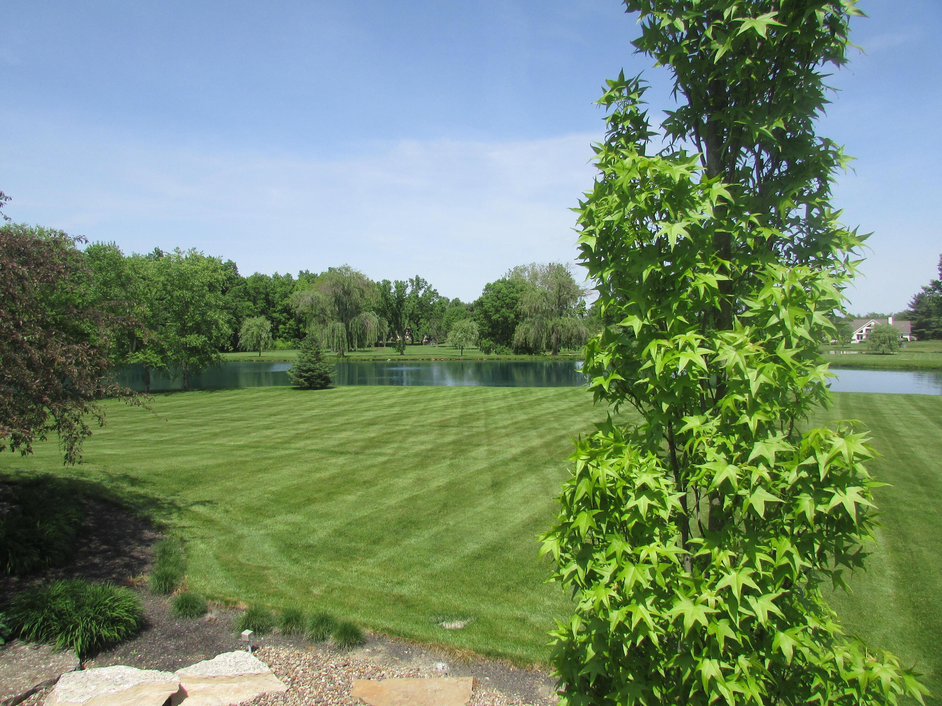 6390 Merchant Road Delaware, OH 43015 - Photo 23 of 30 Merchant view of rear yd