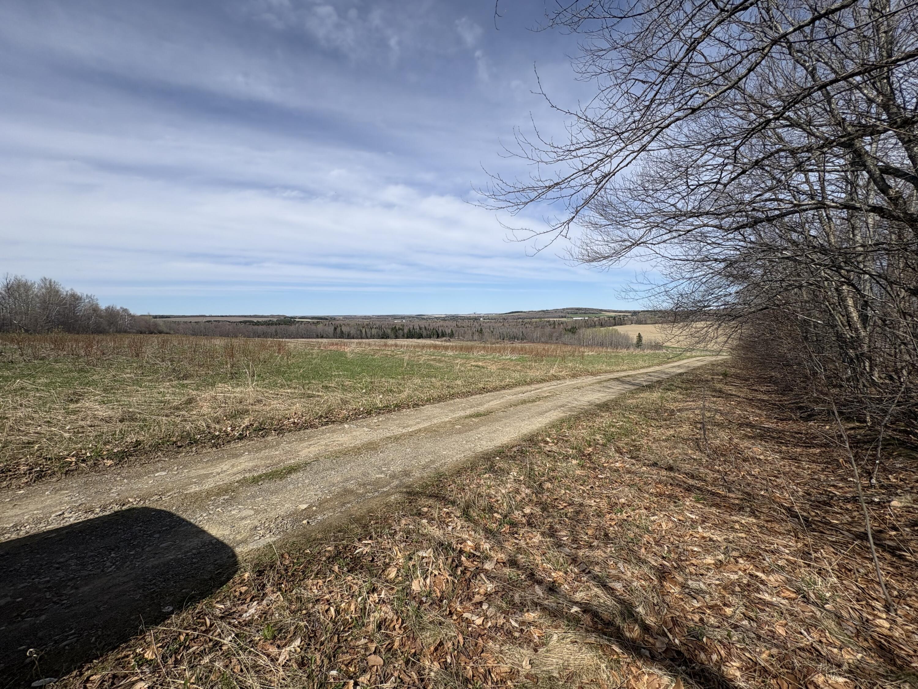 Lot 12 Off Conant (end Of Johnson Rd) Road Fort Fairfield, ME 04742 - Photo 10 of 10