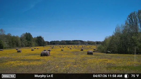 $99,500 | 980 Murphy Lane, Whiteville, TN 38075