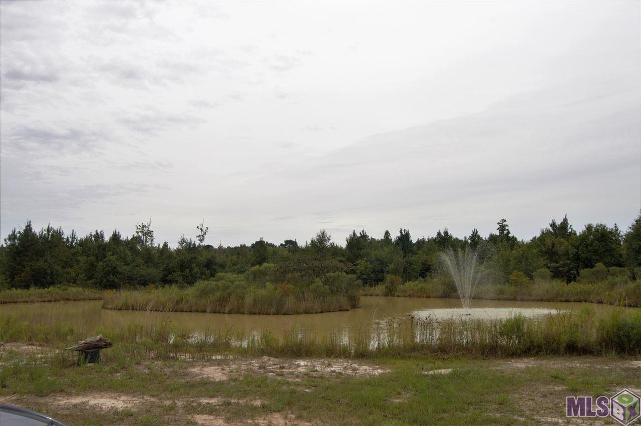 24434 Setton Road Livingston, LA 70754 - Photo 3 of 5 Gallery Image 3