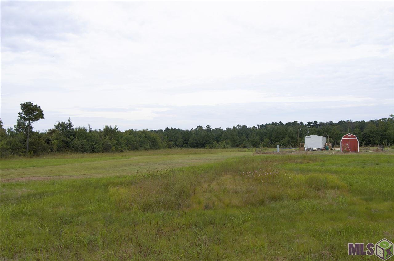 24434 Setton Road Livingston, LA 70754 - Photo 4 of 5 Gallery Image 4