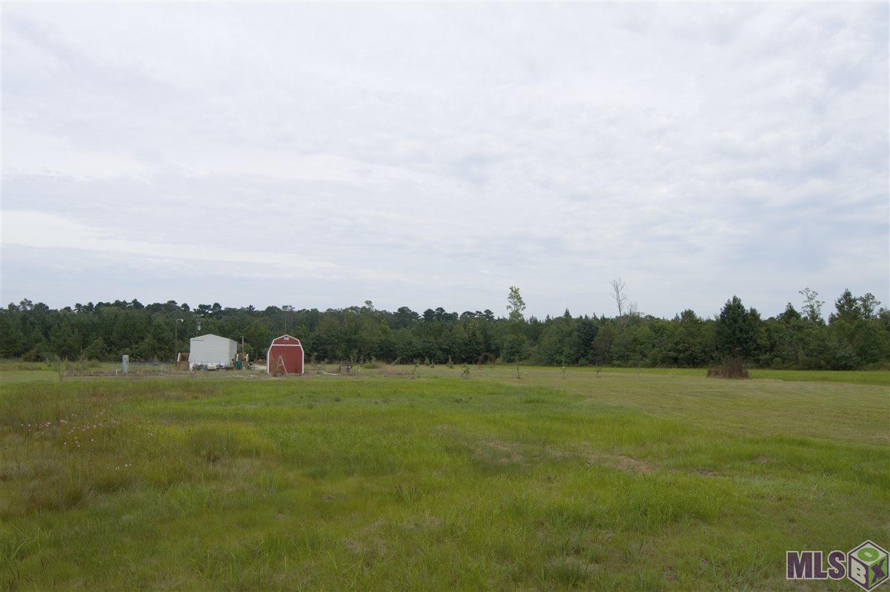 24434 Setton Road Livingston, LA 70754 - Photo 5 of 5 Gallery Image 5