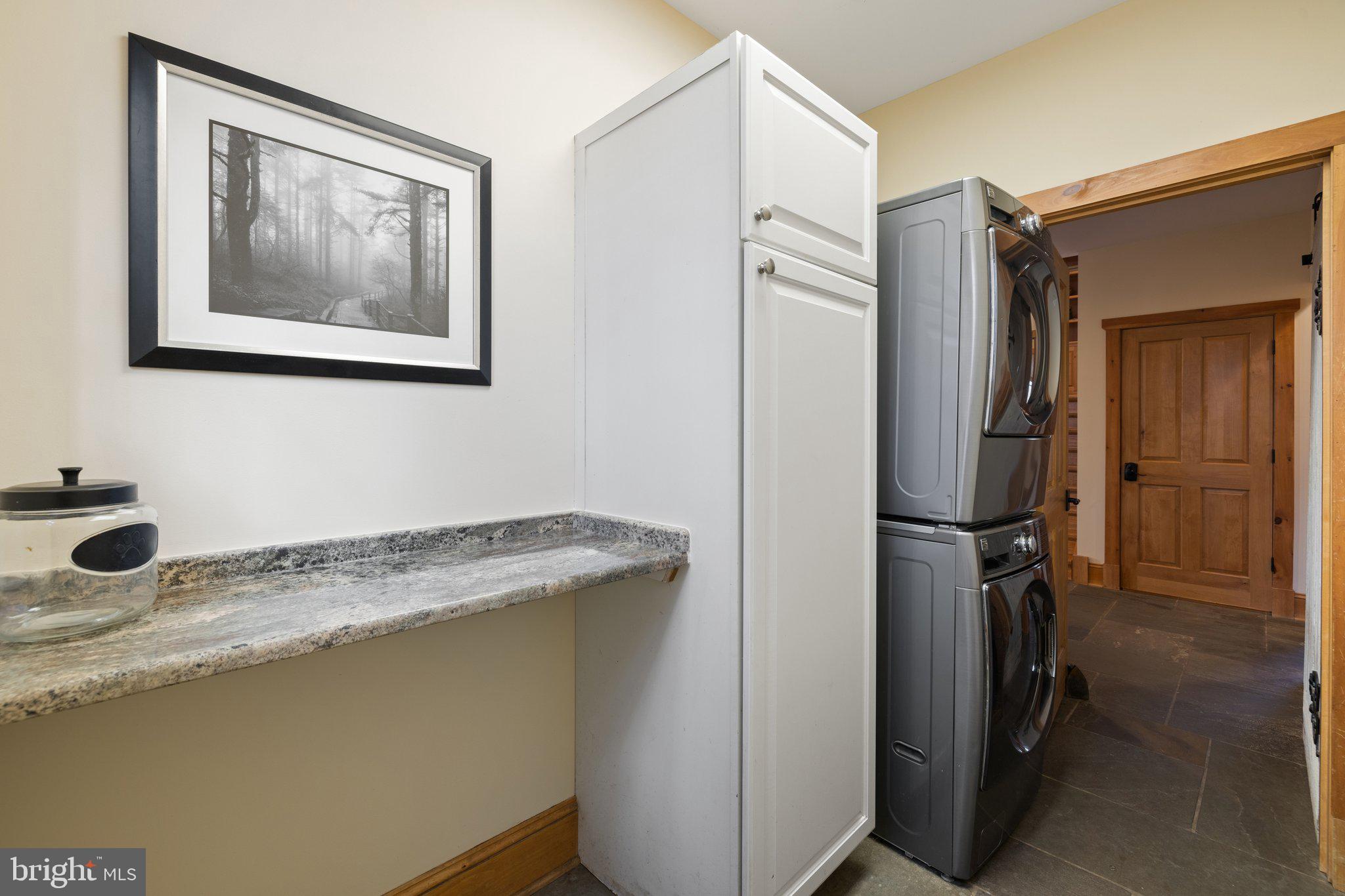 6416 Weadon Ridge Lane Marshall, VA 20115 - Photo 39 of 92 Main Level Laundry Room with Built-In Kennels