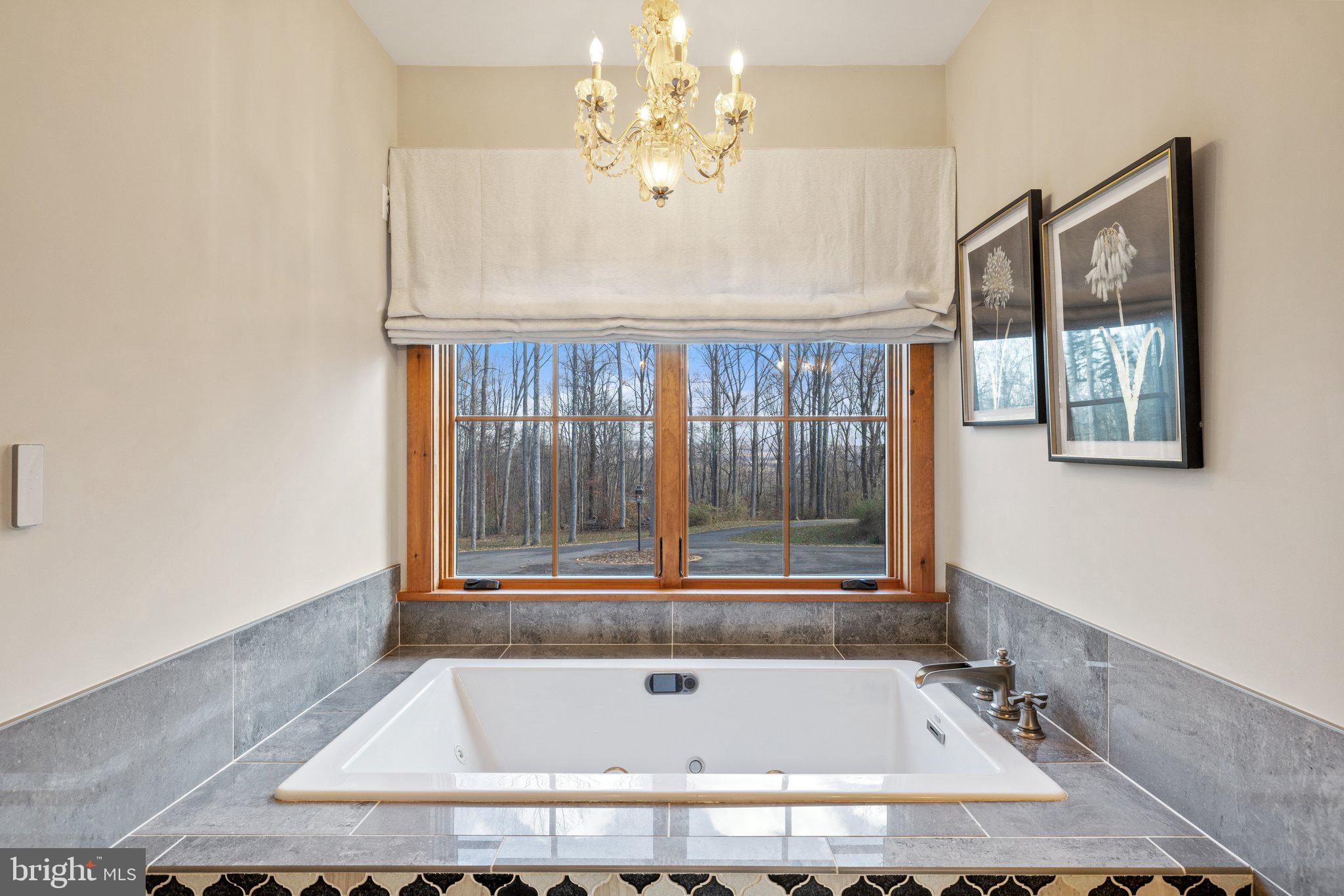6416 Weadon Ridge Lane Marshall, VA 20115 - Photo 47 of 92 Owner's Bath with Jetted Tub & Serene Views