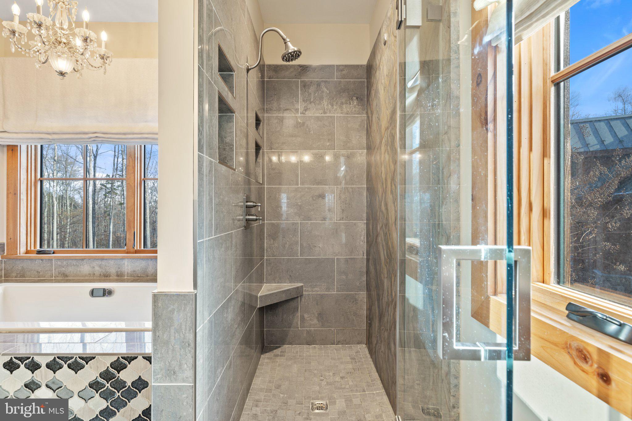 6416 Weadon Ridge Lane Marshall, VA 20115 - Photo 48 of 92 Primary Bath with Separate Shower with Quartz