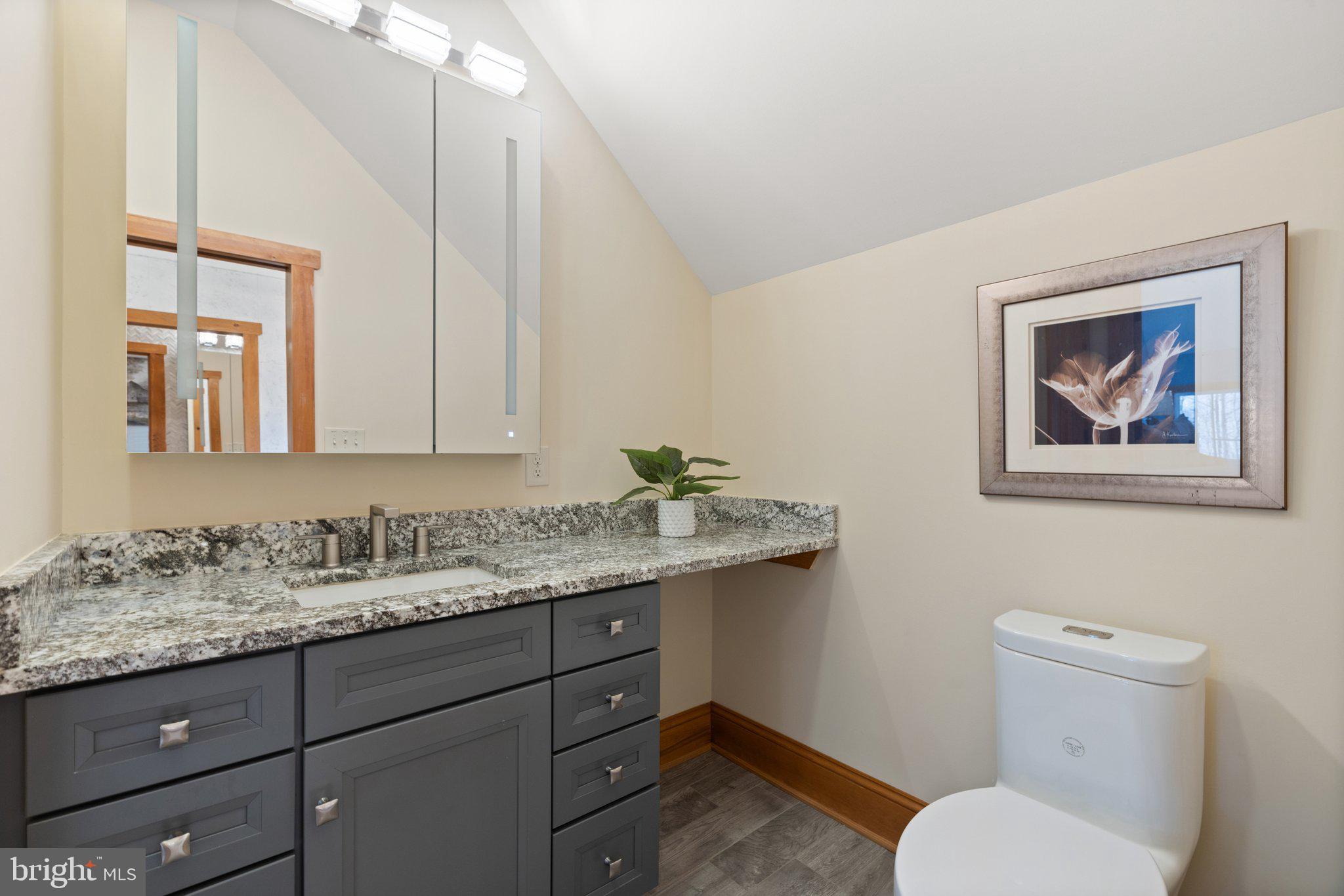 6416 Weadon Ridge Lane Marshall, VA 20115 - Photo 63 of 92 Bedroom 3 Opens to Jack and Jill Bath