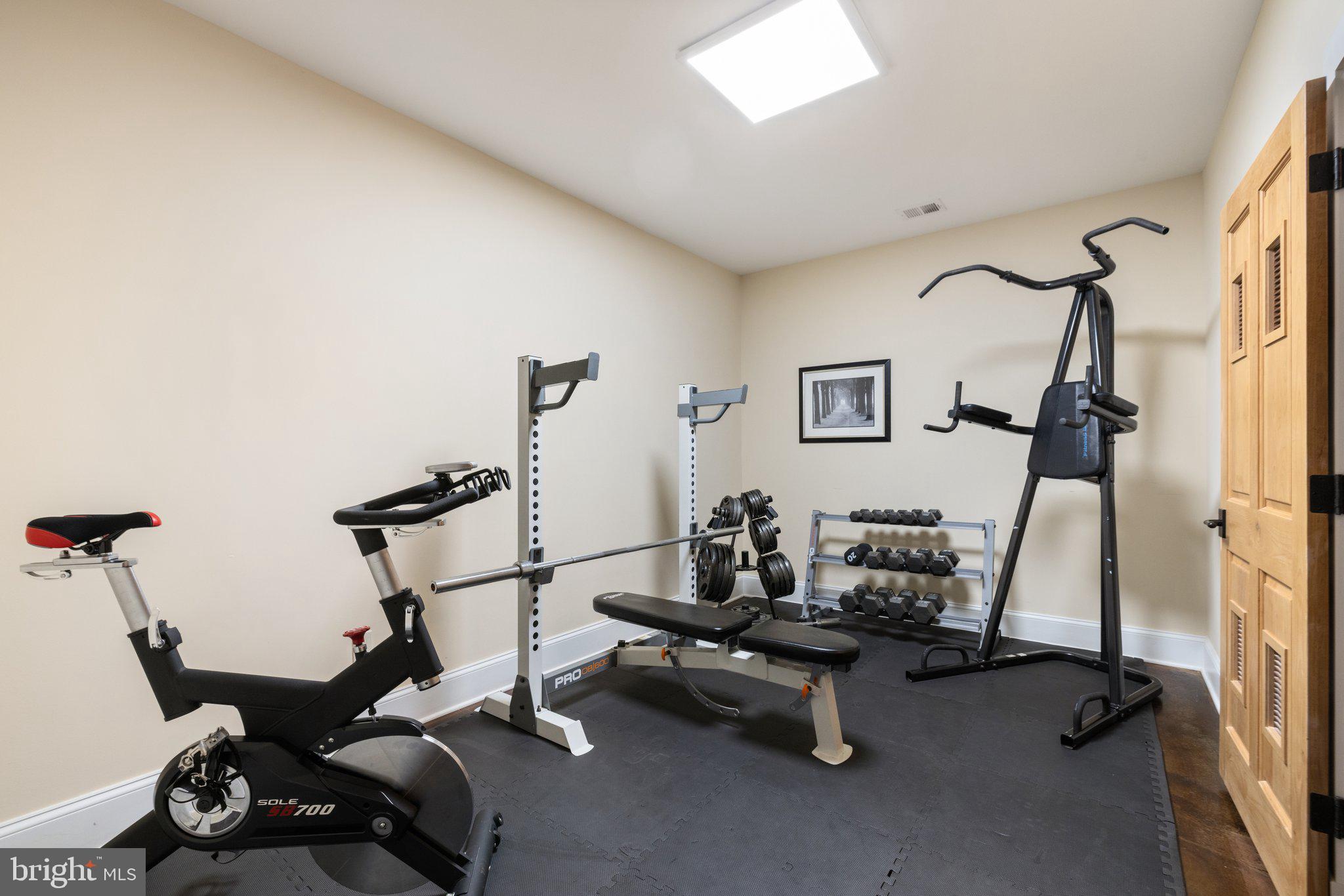6416 Weadon Ridge Lane Marshall, VA 20115 - Photo 75 of 92 Fin LL Exercise Room