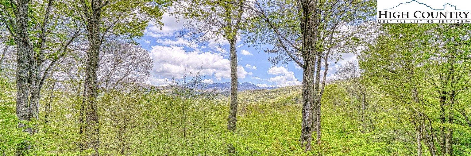 250 Ridgeview Road, Unit 42 Sugar Mountain, NC 28604 - Photo 3 of 39 Gallery Image 3