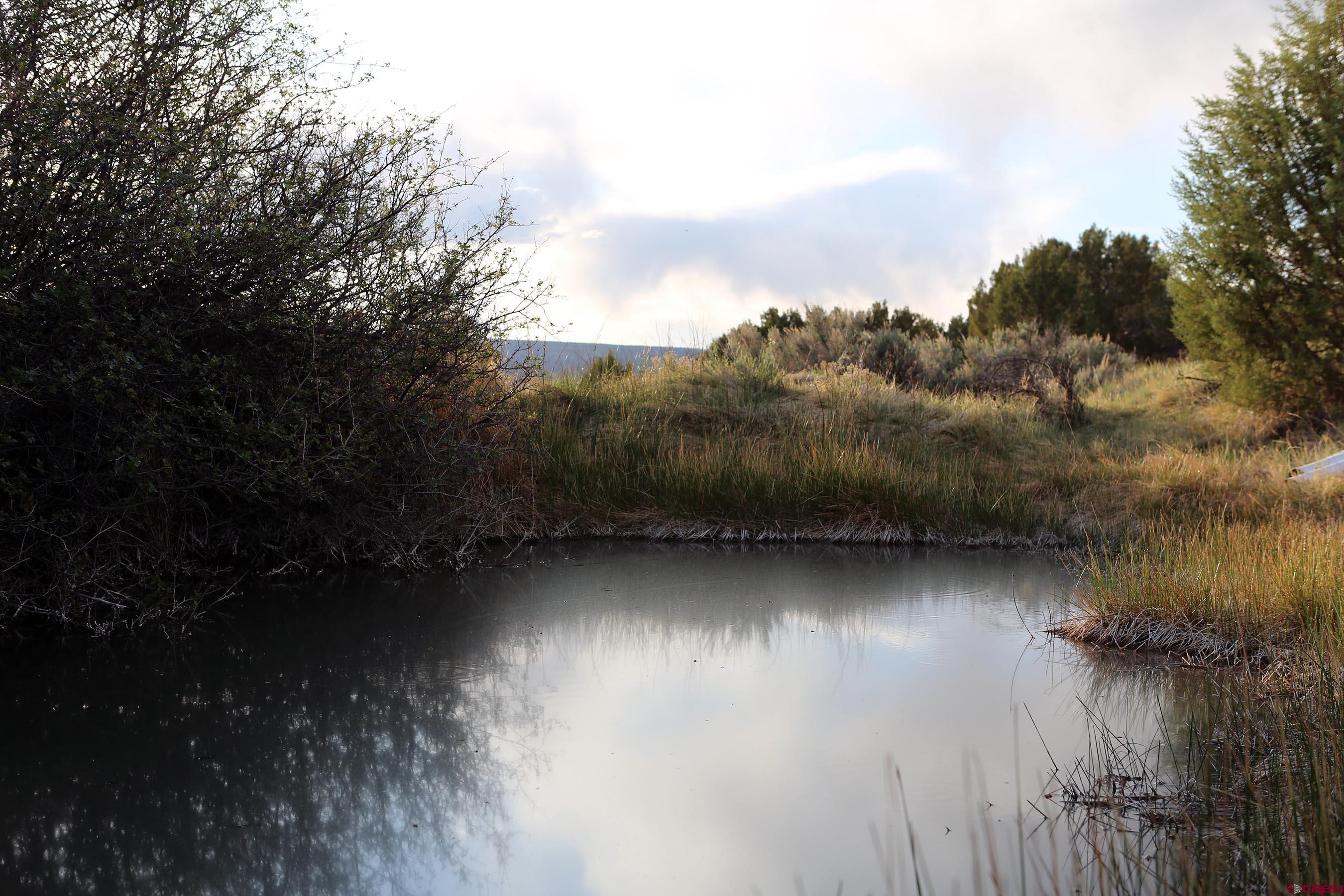 102 550th Highway Ridgway, CO 81432 - Photo 6 of 18 a view of a lake