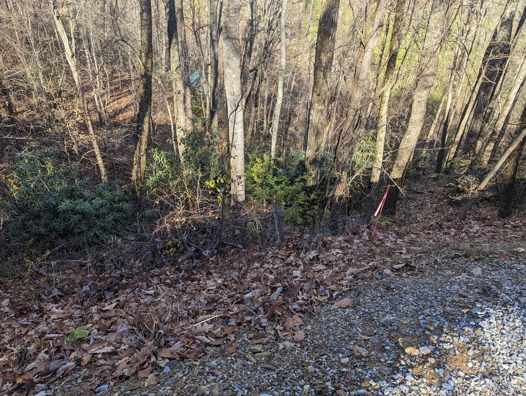 5 Stans Road Gatlinburg, TN 37738 - Photo 3 of 3 Gallery Image 3