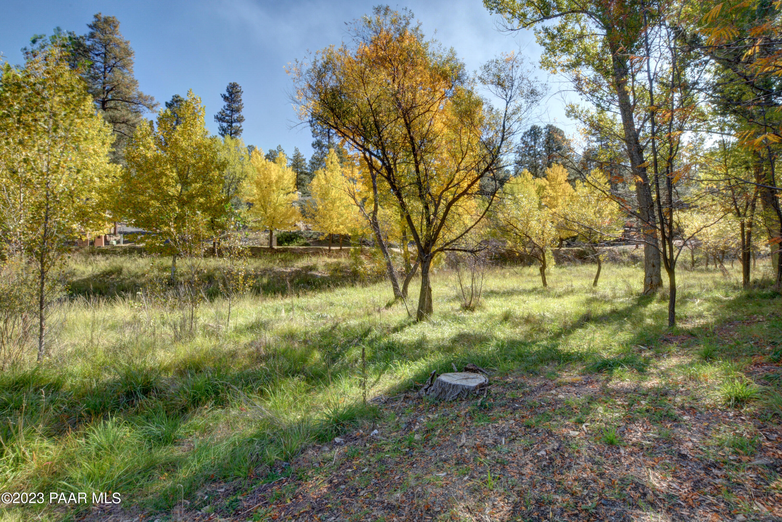 161 Valley Ranch North Prescott, AZ 86303 - Photo 43 of 50 043_Common Area With Creek