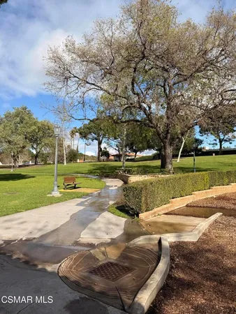 a view of a park with large trees