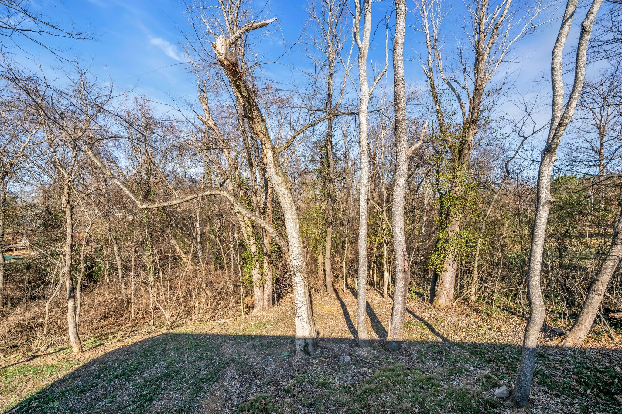 1034 Taylortown Road White Bluff, TN 37187 - Photo 35 of 46