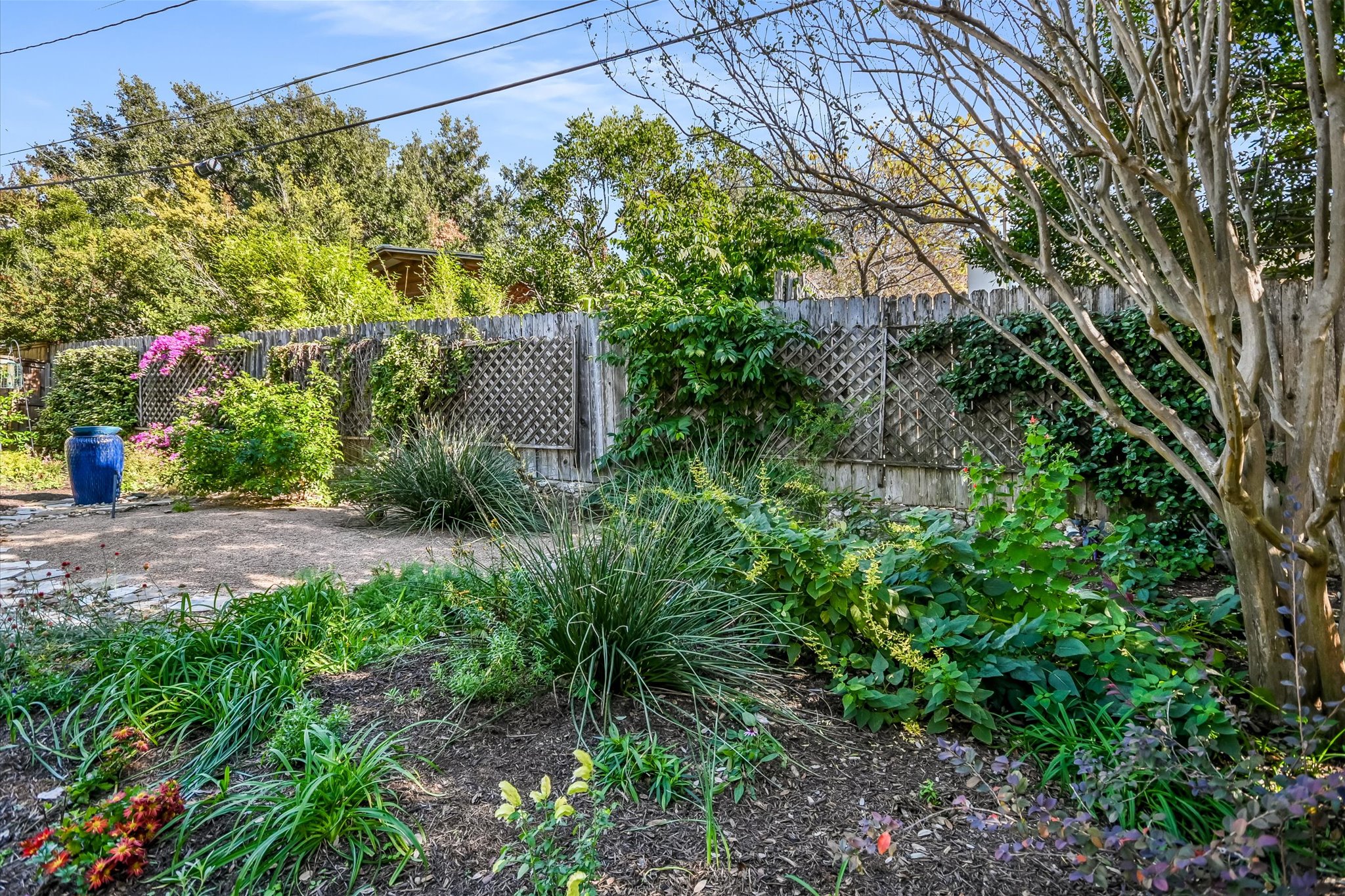 703 Pressler Street Austin, TX 78703 - Photo 23 of 24 a view of a yard with plants