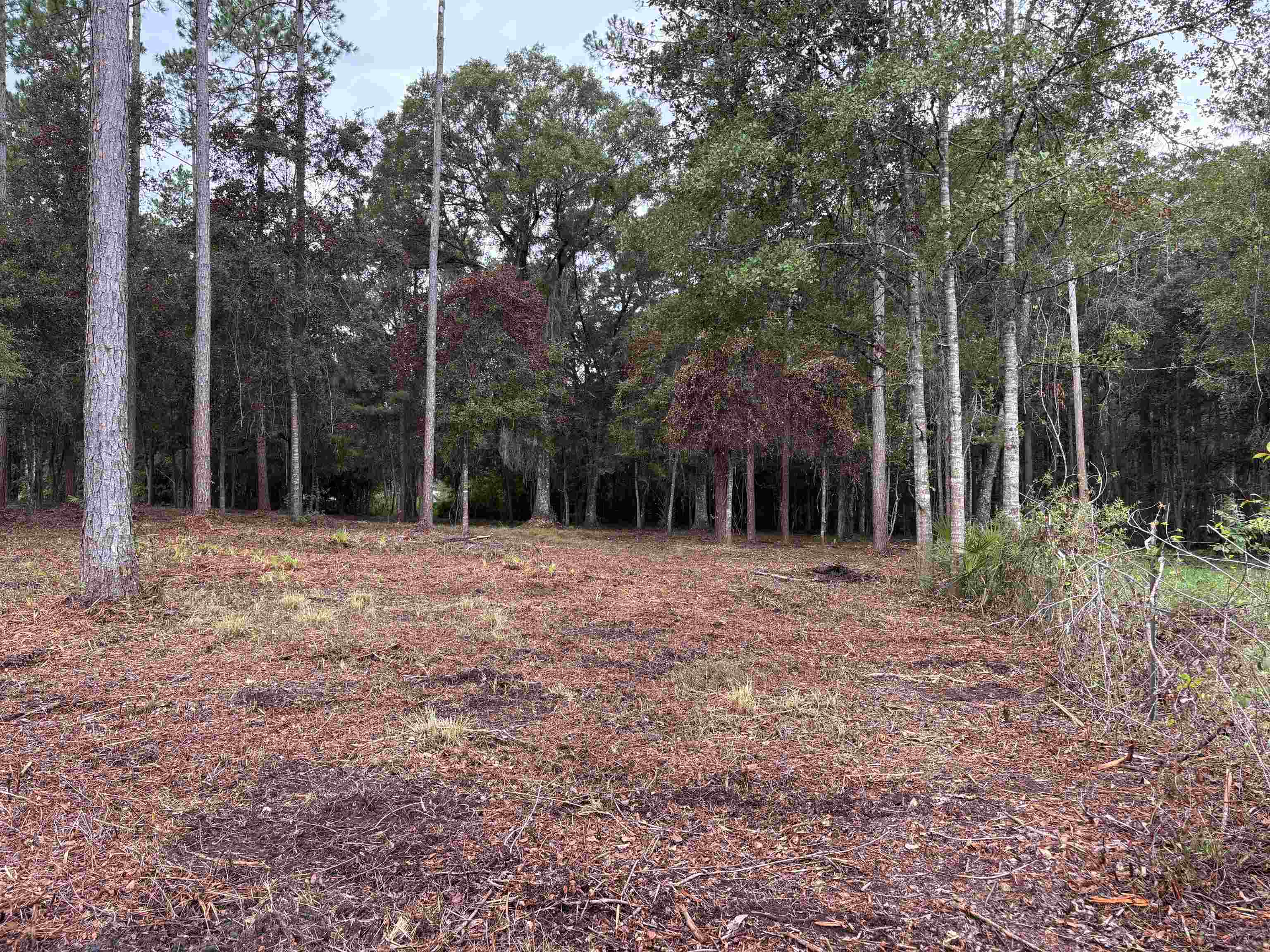 0 Walker Springs Road Monticello, FL 32344 - Photo 10 of 21 Gallery Image 10