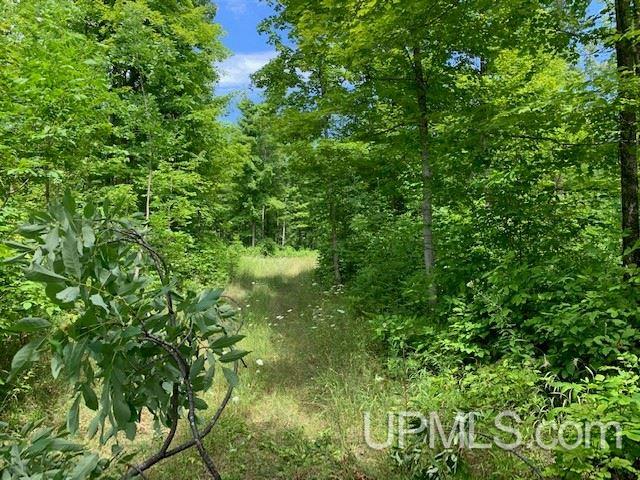 Tbd M69 Nadeau, MI 49863 - Photo 14 of 14