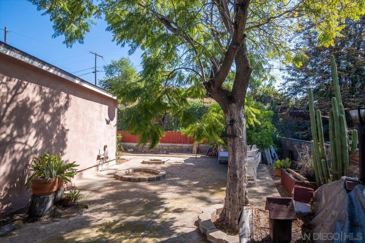 3711 Racine Road San Diego, CA 92115 - Photo 33 of 44 a view of backyard with plants and trees