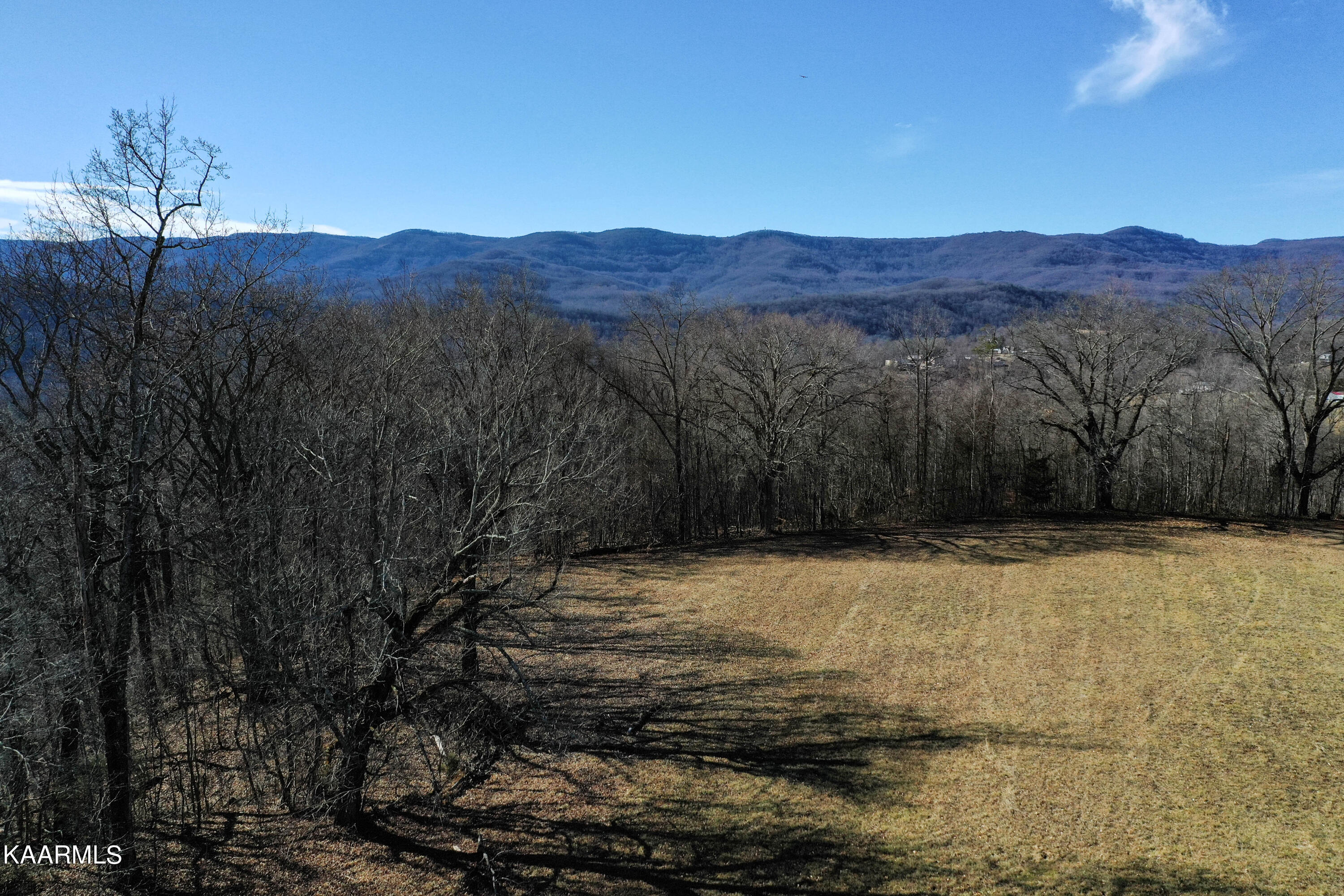Oak Grove Road Caryville, TN 37714 - Photo 3 of 10 DJI_0182-2