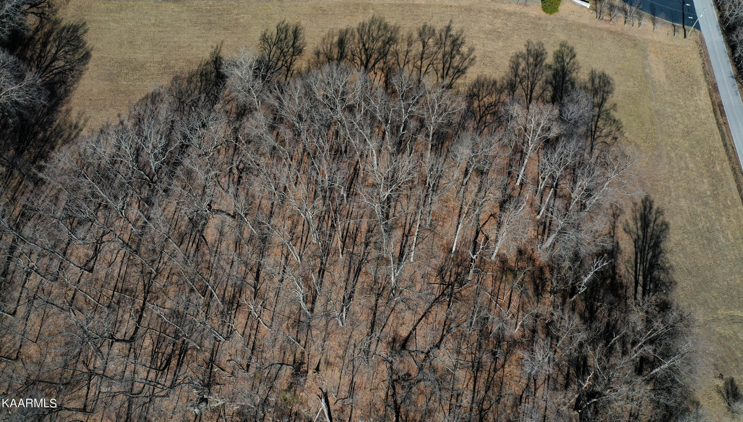 Oak Grove Road Caryville, TN 37714 - Photo 6 of 10 DJI_0176-3