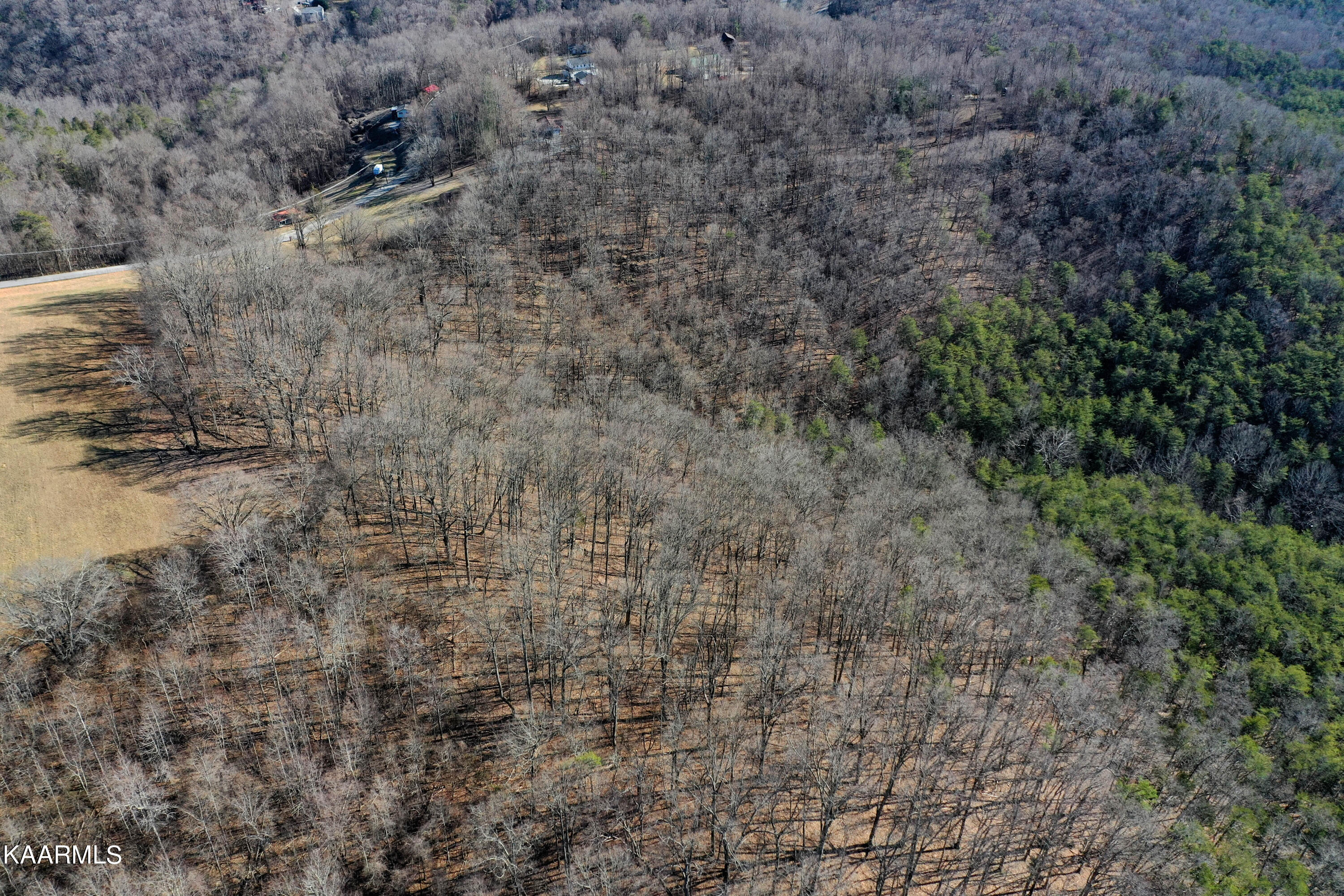 Oak Grove Road Caryville, TN 37714 - Photo 7 of 10 DJI_0177-3