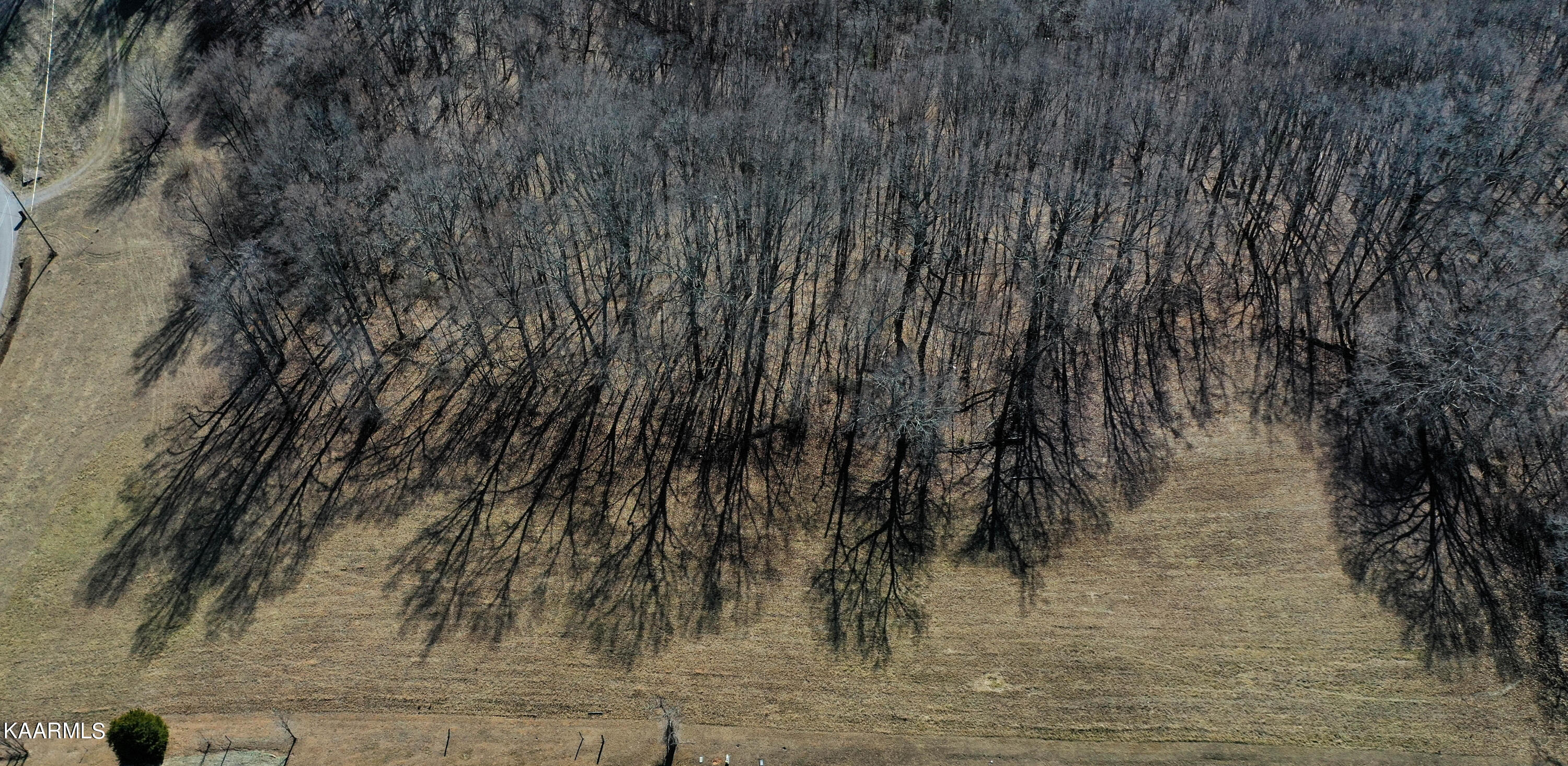 Oak Grove Road Caryville, TN 37714 - Photo 8 of 10 DJI_0179-2