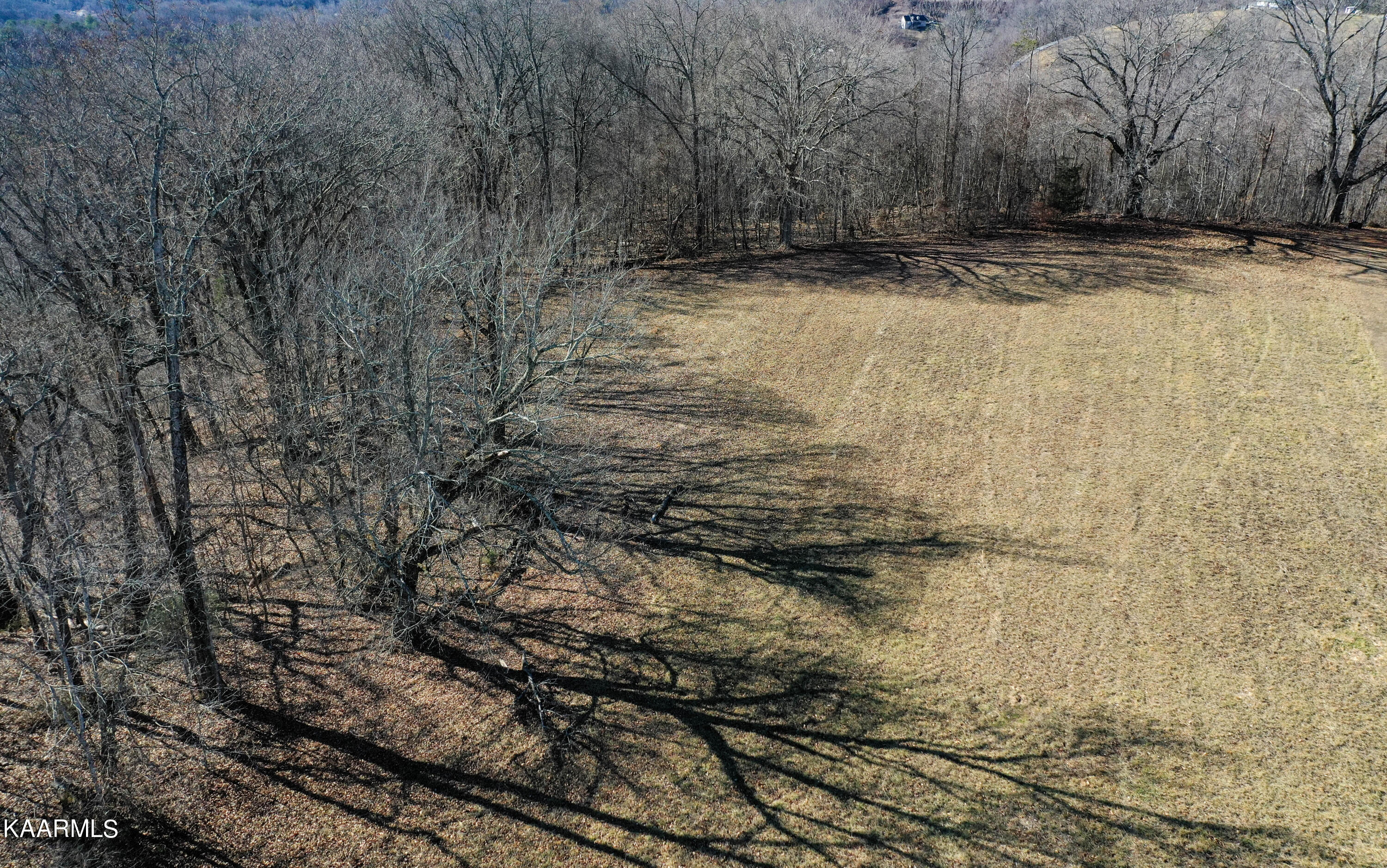 Oak Grove Road Caryville, TN 37714 - Photo 10 of 10 DJI_0181-2