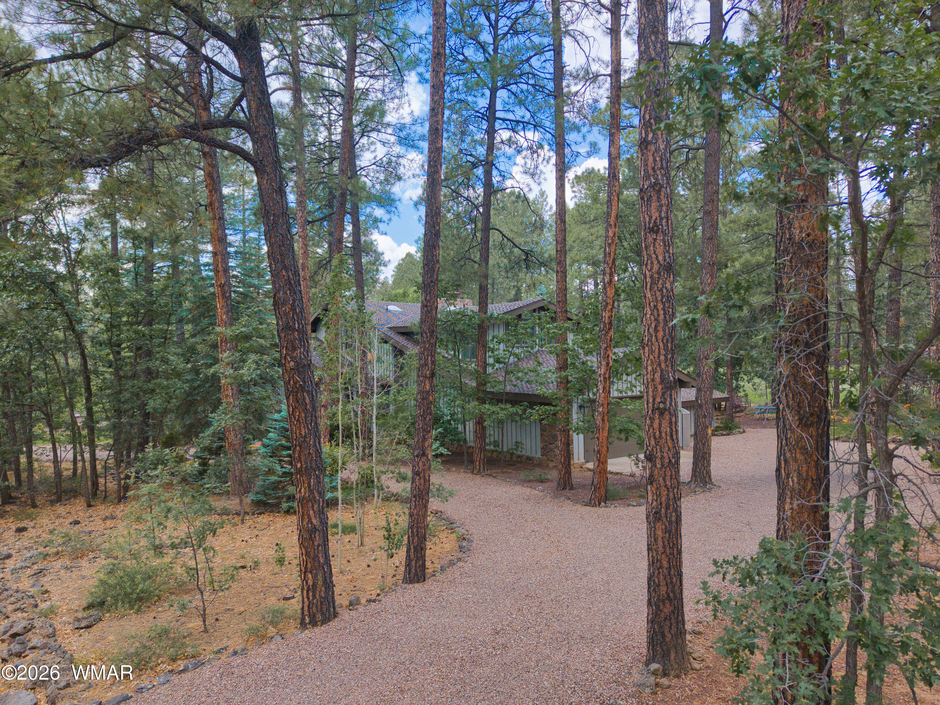 3280 Red Robin Road Pinetop, AZ 85935 - Photo 45 of 64