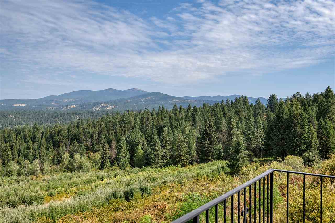 10229 East Day Mt Spokane Road Colbert, WA 99005 - Photo 7 of 43