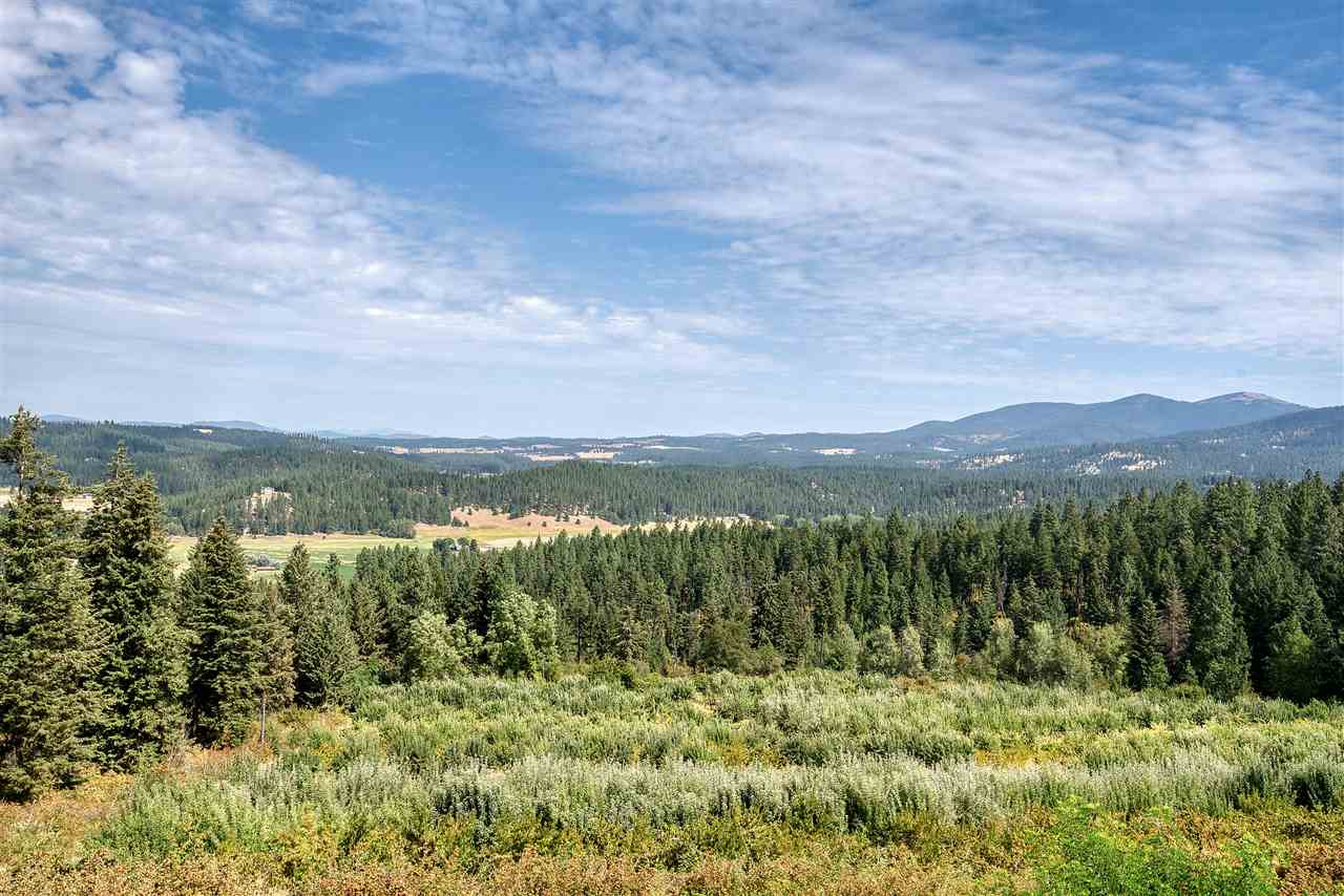 10229 East Day Mt Spokane Road Colbert, WA 99005 - Photo 9 of 43