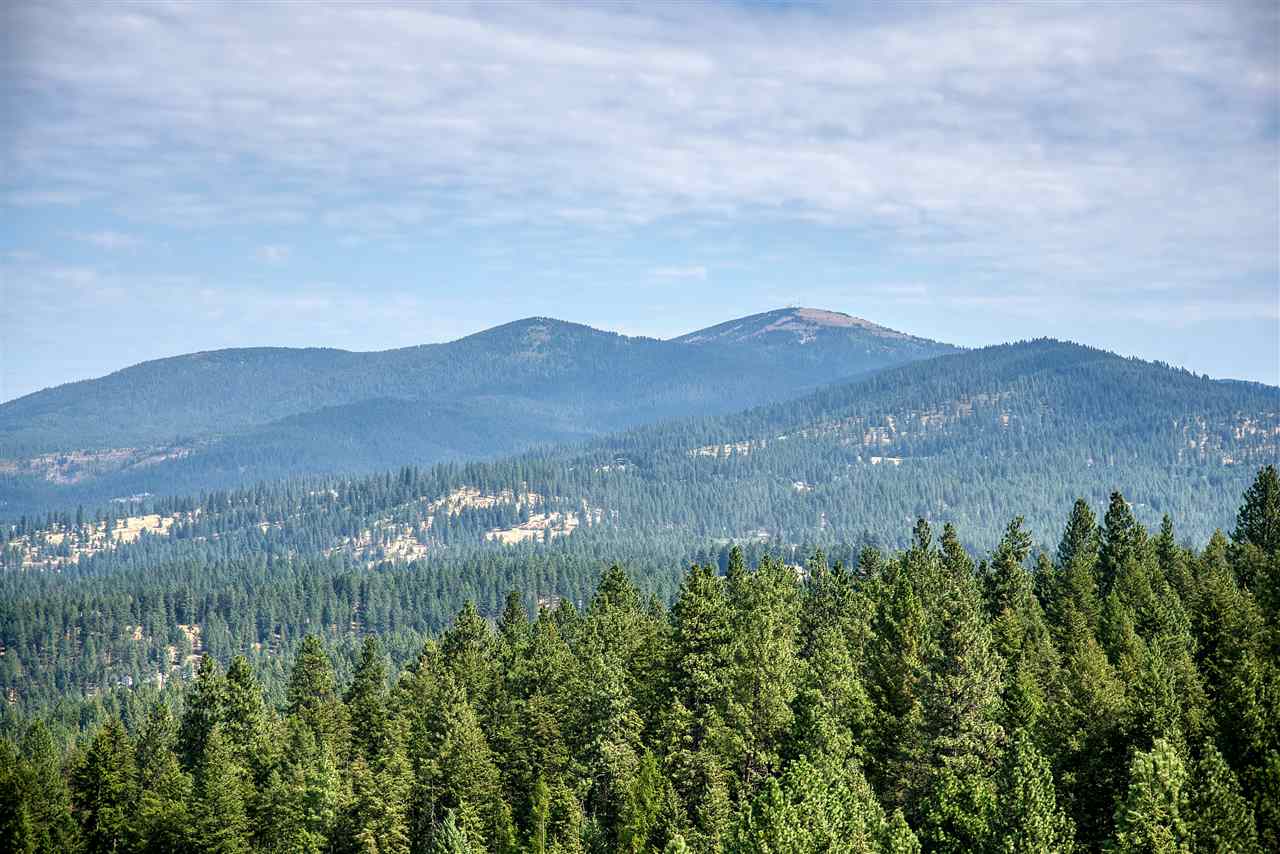 10229 East Day Mt Spokane Road Colbert, WA 99005 - Photo 10 of 43