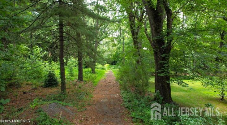 a view of a lush green forest