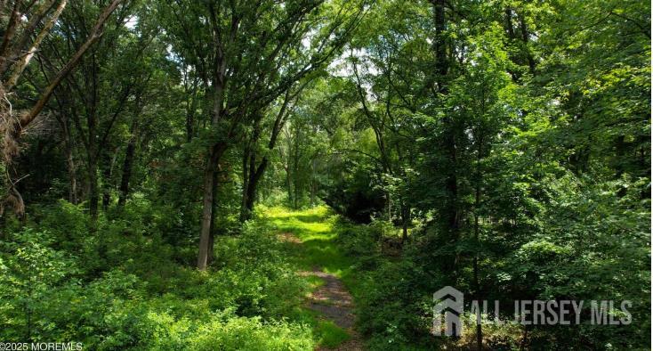 169 A Applegarth Road, Unit A Monroe Township, NJ 08831 - Photo 2 of 9 a view of a lush green forest