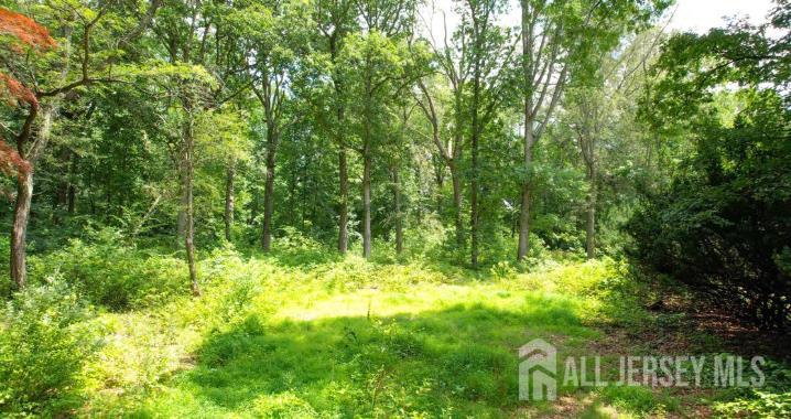 169 A Applegarth Road, Unit A Monroe Township, NJ 08831 - Photo 4 of 9 a view of a yard with plants and large trees