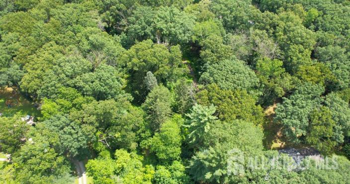 169 A Applegarth Road, Unit A Monroe Township, NJ 08831 - Photo 5 of 9 a view of a lush green forest with lawn chairs and plants