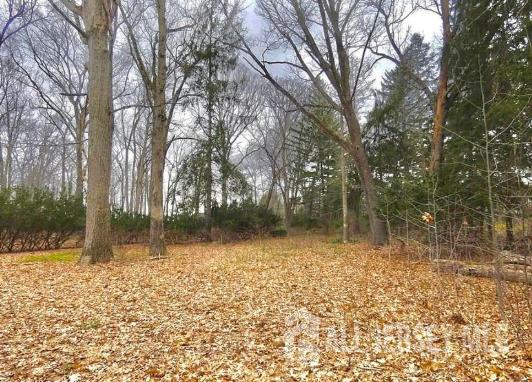 169 A Applegarth Road, Unit A Monroe Township, NJ 08831 - Photo 6 of 9 a view of backyard with green space