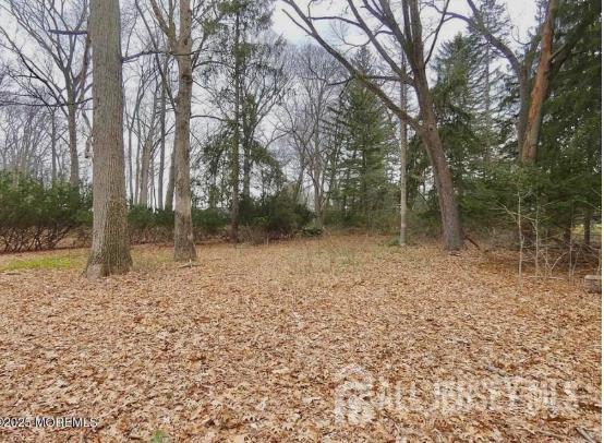 169 A Applegarth Road, Unit A Monroe Township, NJ 08831 - Photo 7 of 9 a backyard of a house with lots of green space