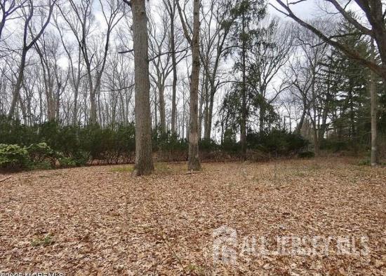 169 A Applegarth Road, Unit A Monroe Township, NJ 08831 - Photo 8 of 9 a backyard of a house with lots of green space