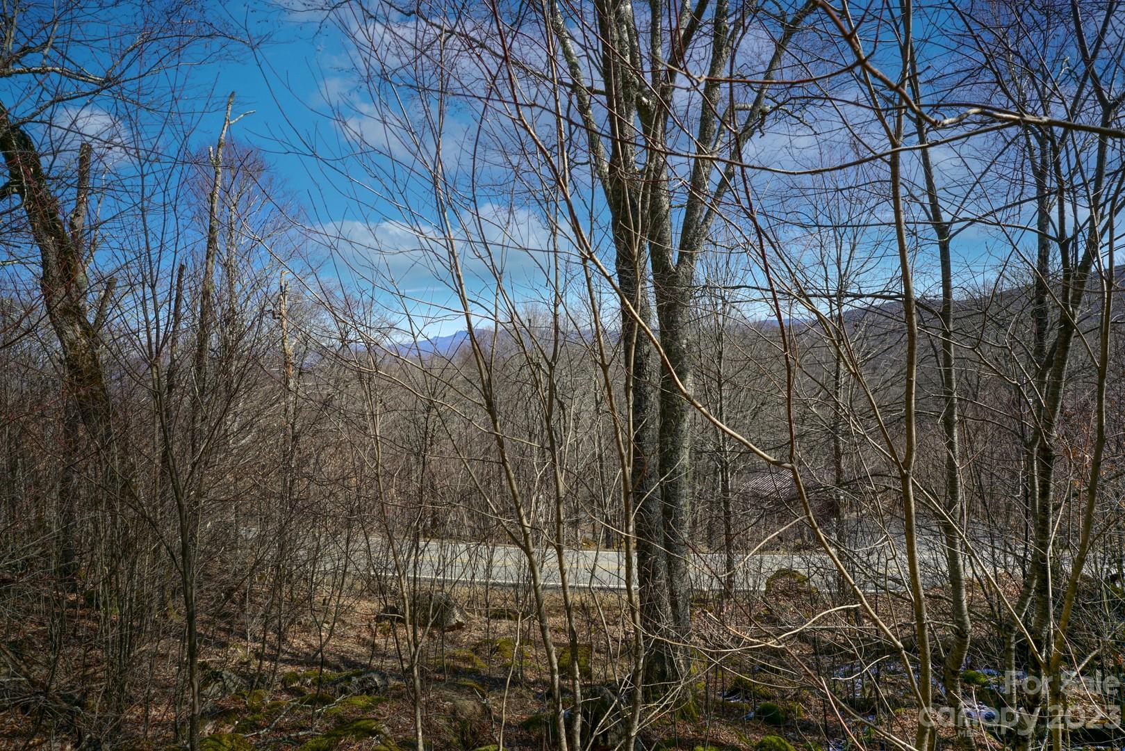 Tbd Village Road Beech Mountain, NC 28604 - Photo 11 of 27 Gallery Image 11