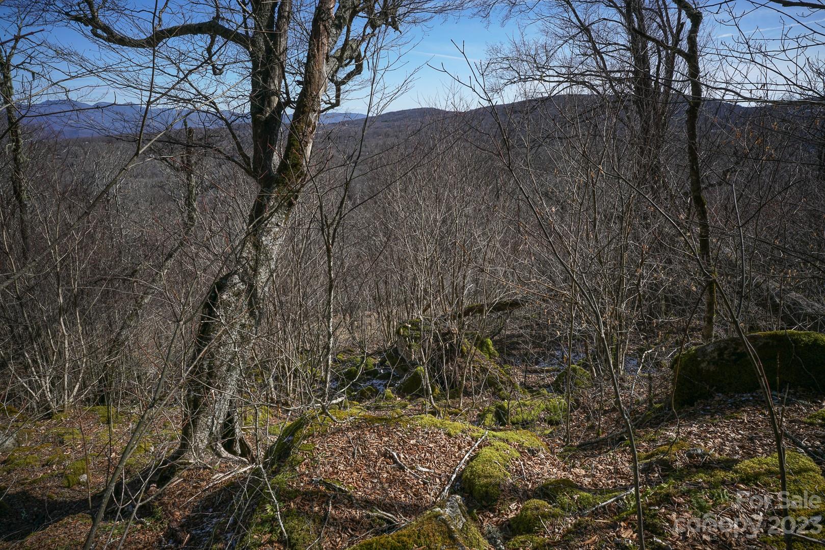 Tbd Village Road Beech Mountain, NC 28604 - Photo 12 of 27 Gallery Image 12