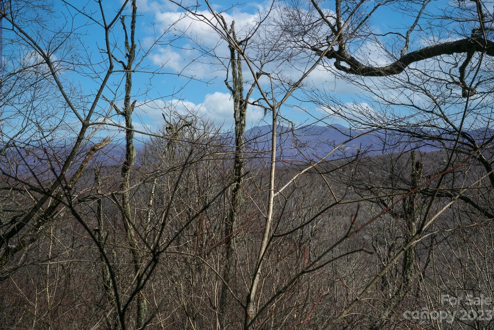 Tbd Village Road Beech Mountain, NC 28604 - Photo 13 of 27 Gallery Image 13