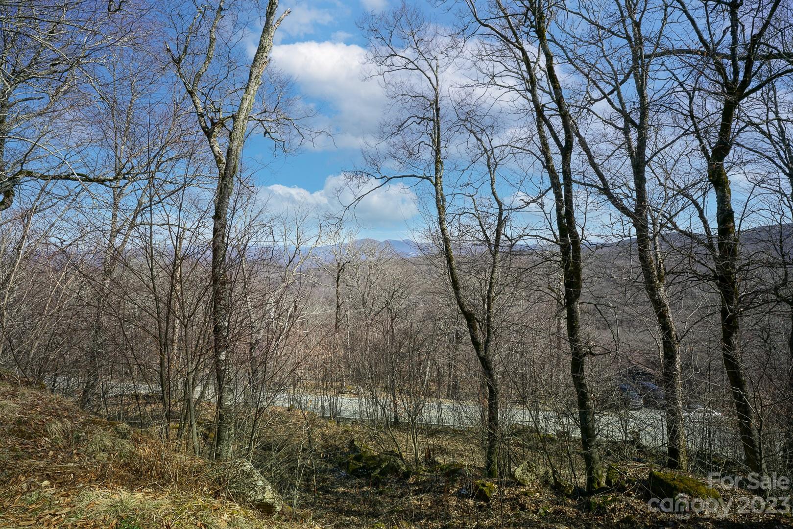 Tbd Village Road Beech Mountain, NC 28604 - Photo 14 of 27 Gallery Image 14