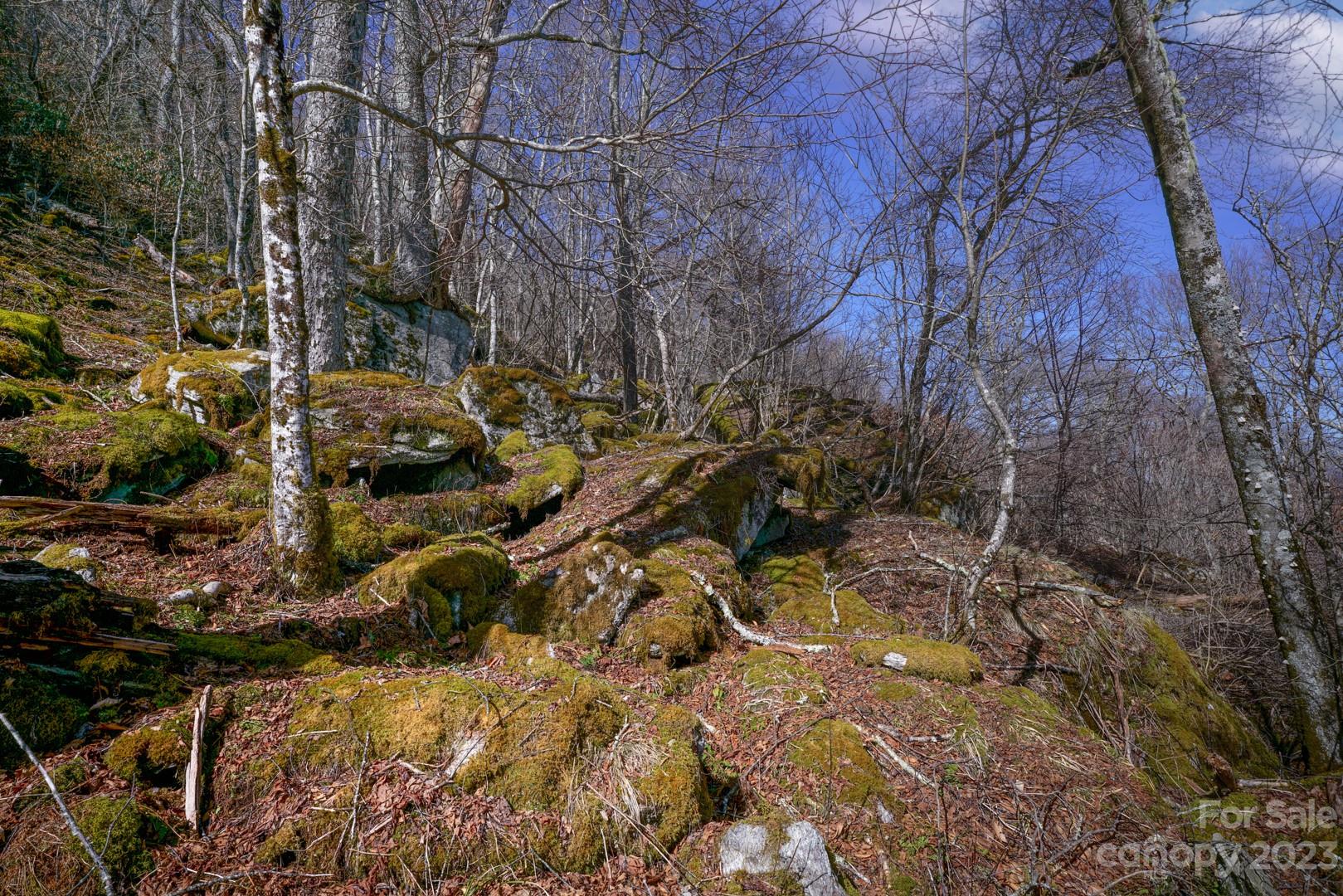 Tbd Village Road Beech Mountain, NC 28604 - Photo 15 of 27 Gallery Image 15